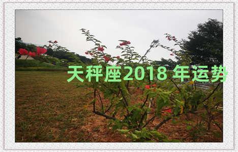 天秤座2018 年运势